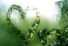 MVP榜：亚历山大榜首约基奇第二 詹姆斯升至第五.