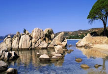 图片报：曼联对多特中场恩梅查很感兴趣，愿支付4000万英镑.